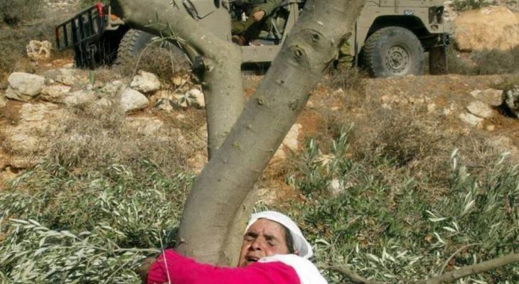 حركة فتح: الأم الفلسطينية رمز الصمود والبقاء على الأرض