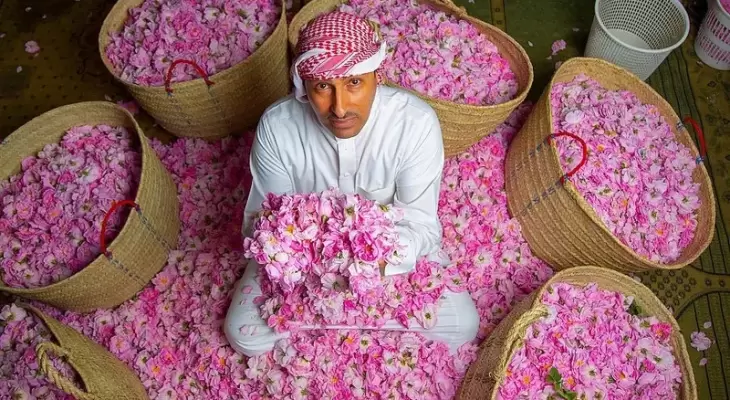 السعودية.. إفطار بنكهة مختلفة بين بساتين الورد في الطائف