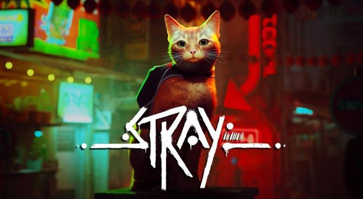 لعبة جديدة ومثيرة تجعلك ترى العالم بعيون القطط.. تعديل بشع في "Stray" يثير جدلا (فيديو)