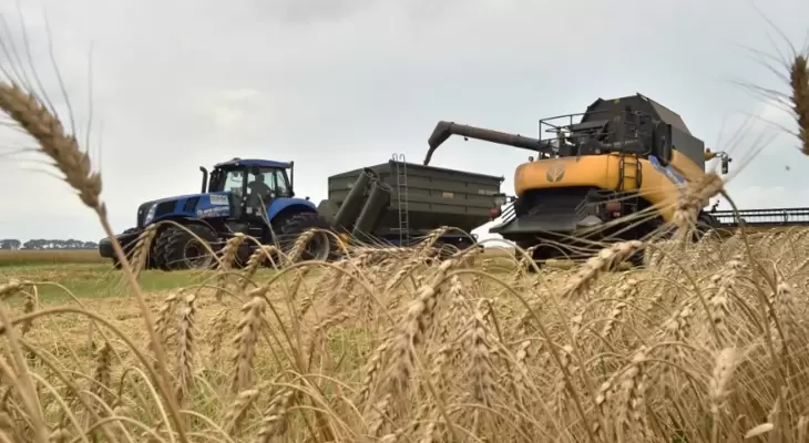 أسعار القمح تشتعل بعد هجوم صاروخي على أدويسا الأوكرانية