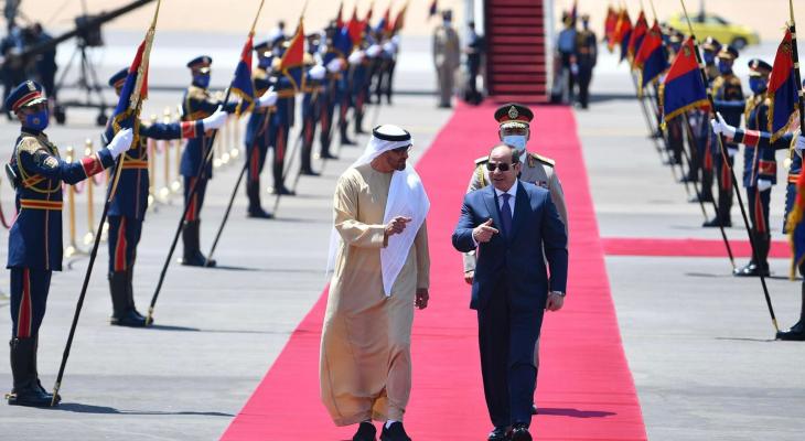 تفاصيل لقاء رئيس دولة الإمارات مع نظيره المصري