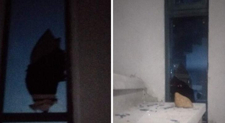 مستوطنون يهاجمون منزلا ويطلقون قنابل الغاز في بيت فوريك شرق نابلس.jpg