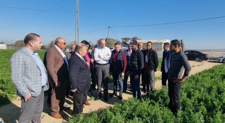 الحكومة تعيد بناء 20 دونمًا من دفيئات زراعية في قطاع غزة
