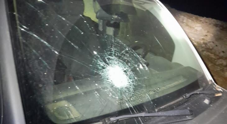نابلس: مستوطنون يُهاجمون مركبات المواطنين في قصرة وجالود