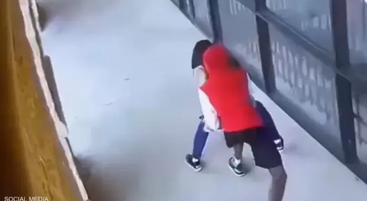 فيديو.. هجوم على سيدة بغرض السرقة يتسبب بإصابتها بالشلل