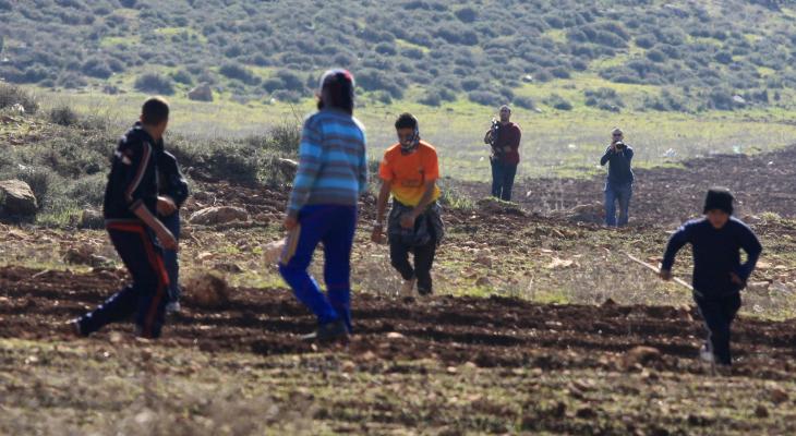 مستوطنون يقتلعون أشتال كرمة من أراضي بلدة الخضر جنوب بيت لحم