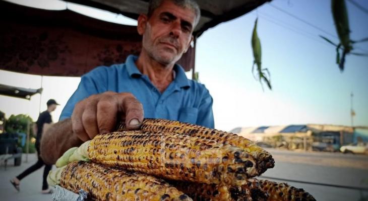 بيع الذرة الصفراء في غزة