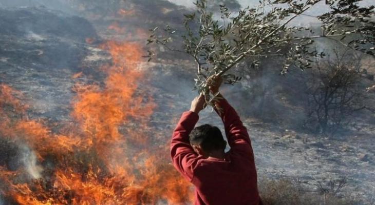 نابلس: مستوطنون يضرمون النار في أراضي قرية بورين 