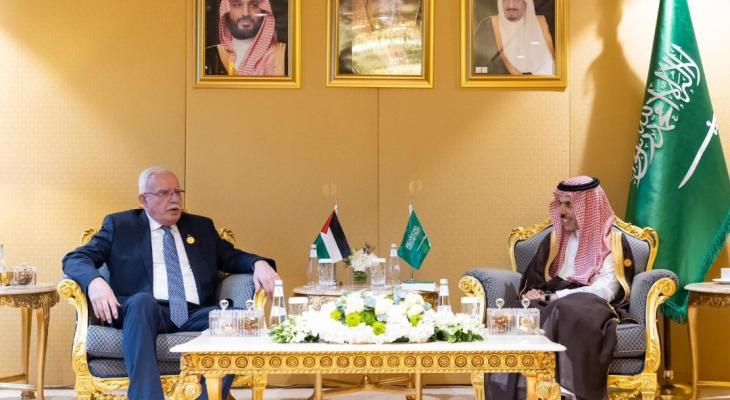 وزير الخارجية يلتقي نظيره السعودي على هامش اجتماع وزاري