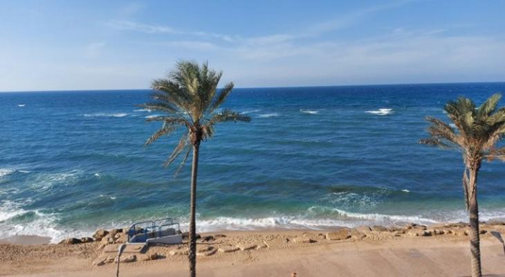 صحة الاحتلال تُحذّر من السباحة في شواطئ حيفا