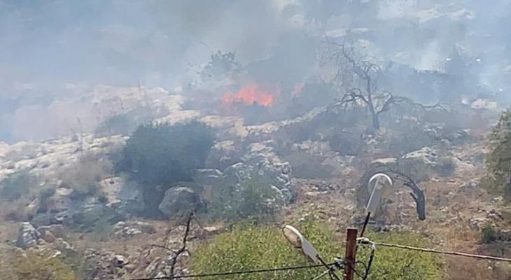 رام الله: مستوطنون يحرقون محاصيل زراعية في ترمسعيا 