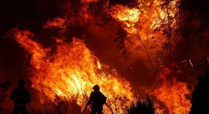 ارتفاع حصيلة ضحايا حرائق الغابات في هاواي إلى 67