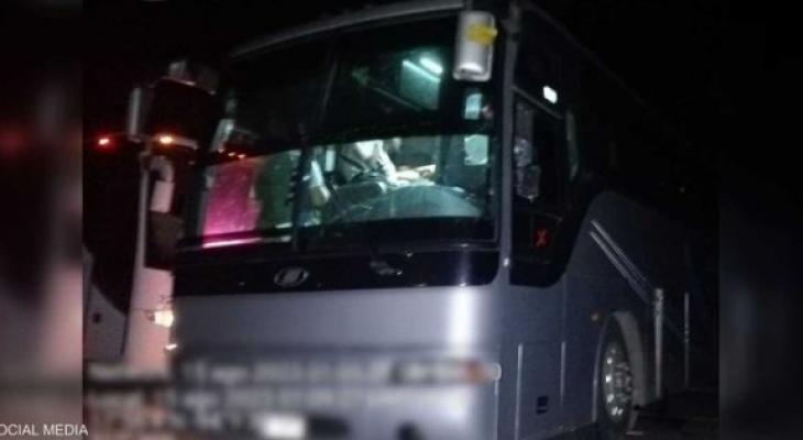 المكسيك: إنقاذ 137 مهاجرًا من مصر وموريتانيا علقوا في حافلة بولاية فيراكروز