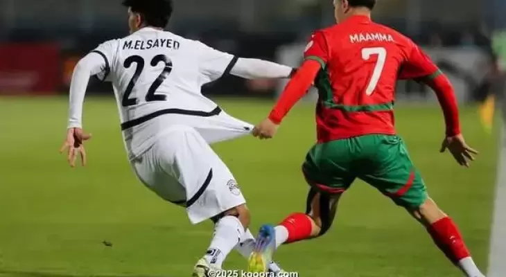 تنزيل (1).webp