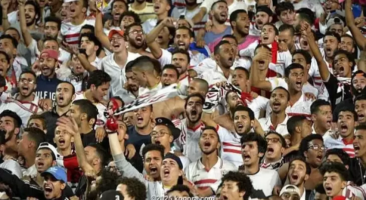 تنزيل (6).webp