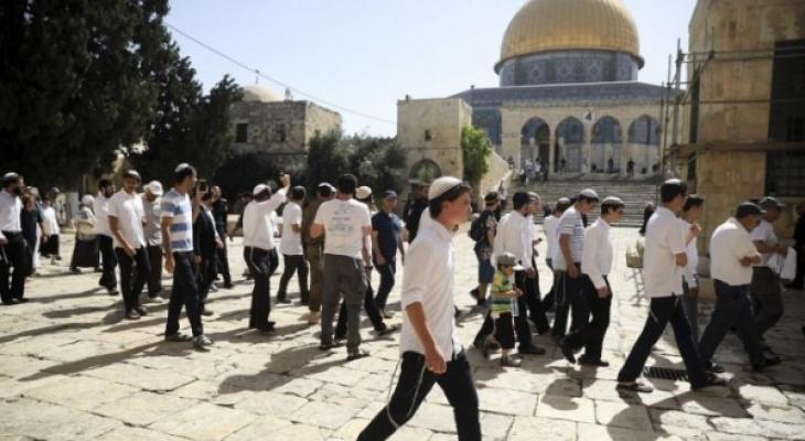 اقتحام الأقصى.jpg-fb15c3f4-1335-412b-a198-8b42b629a67a.jpg