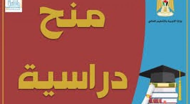 تنزيل (13).jpeg