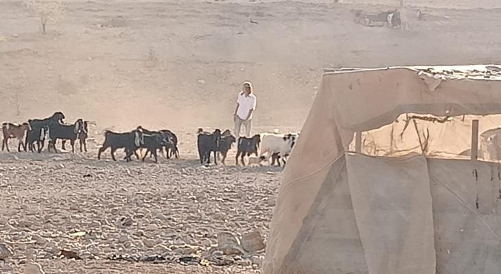 مستوطنون.jpg-7111204b-b365-449e-87ea-d3ad05b25fdb.jpg