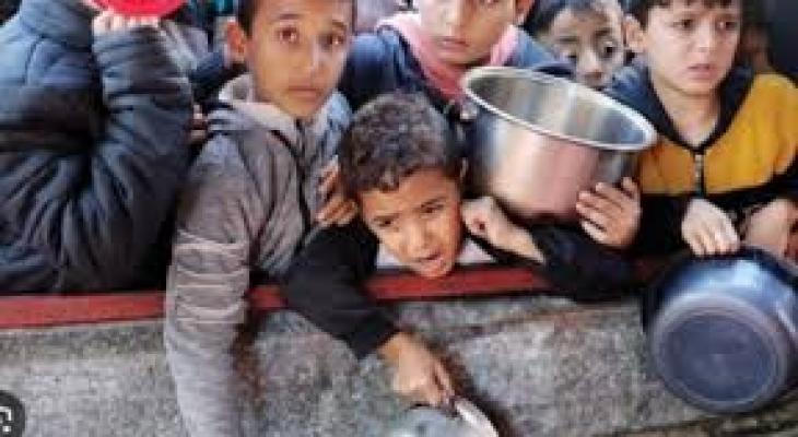تنزيل (14).jpeg