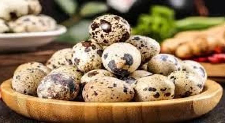 بيض السمان