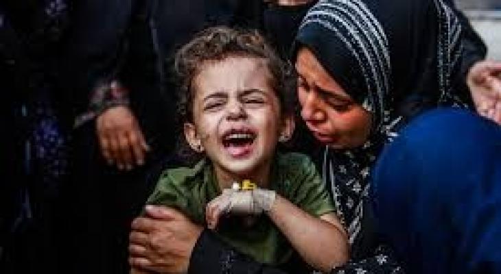 تنزيل (15).jpeg