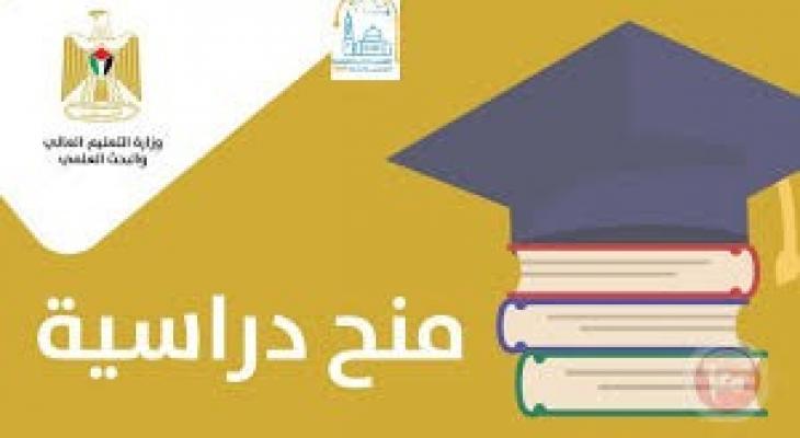 تنزيل (13).jpeg