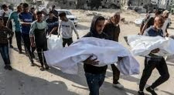 تنزيل (24).jpeg