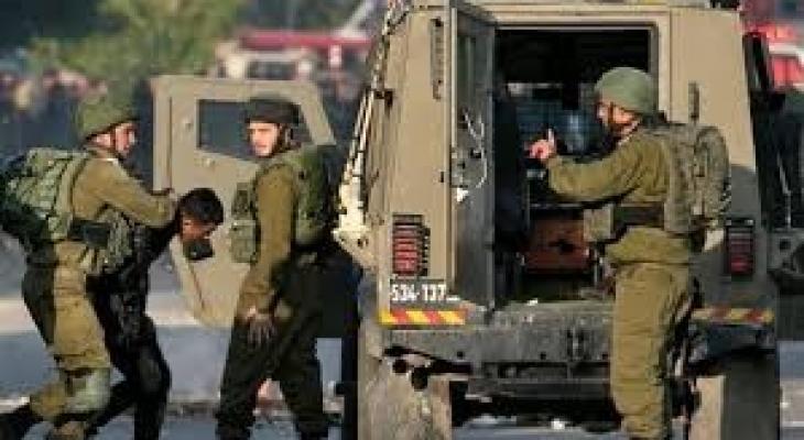 تنزيل (17).jpeg