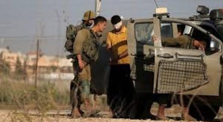 تنزيل (28).jpeg