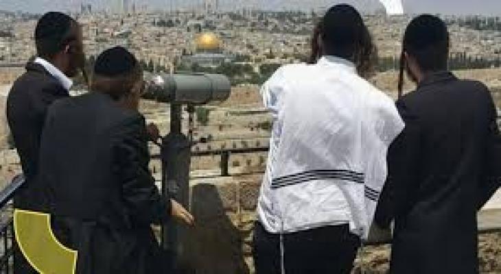 تنزيل (31).jpeg