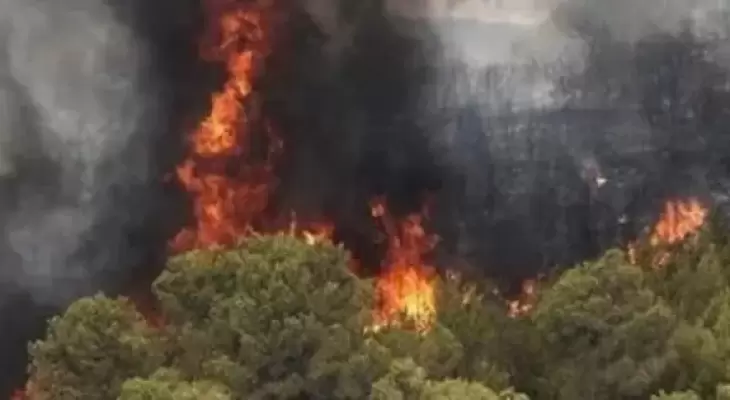 حريق يلتهم غابات إيرانية مُدرجة على قائمة "اليونسكو" للتراث العالمي