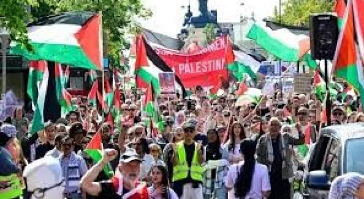 تنزيل (15).jpeg