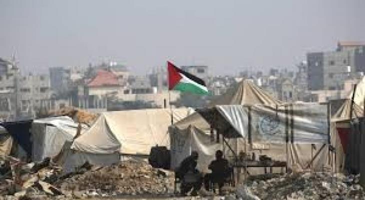 تنزيل (26).jpeg