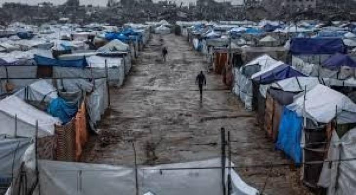 تنزيل (20).jpeg