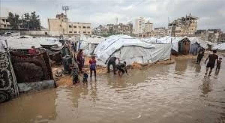 تنزيل (20).jfif