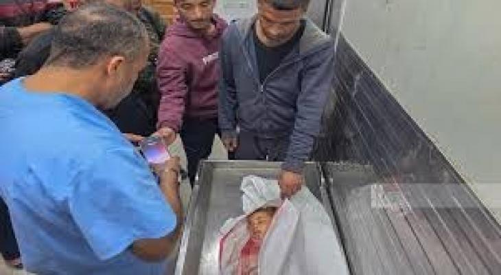 تنزيل (20).jpeg