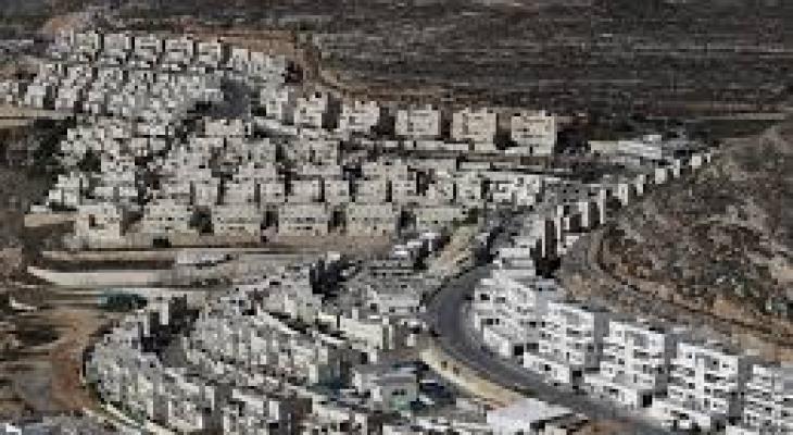 تنزيل (20).jpeg