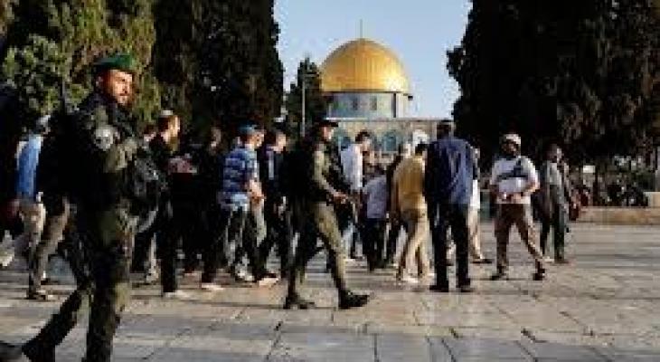 تنزيل (13).jpeg