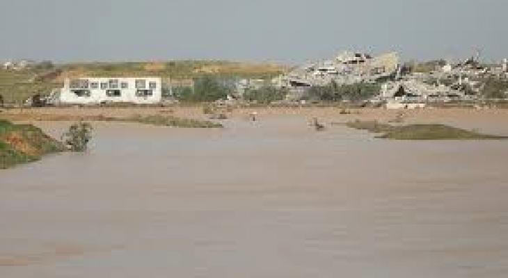 تنزيل (20).jfif