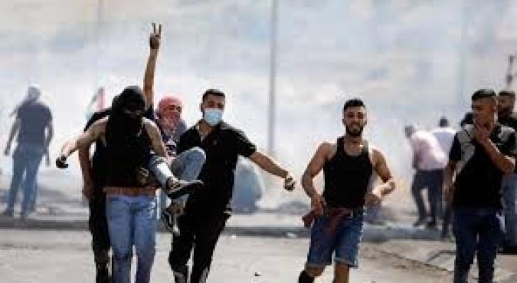 تنزيل (23).jpeg