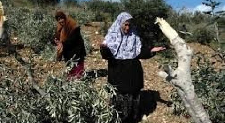 تنزيل (20).jpeg