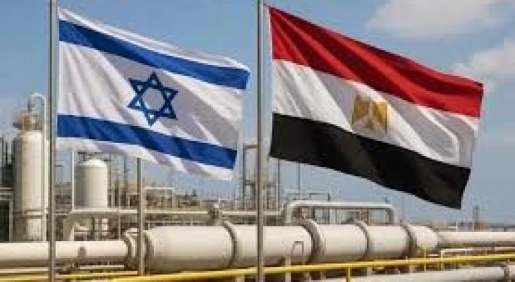 تنزيل (13).jfif