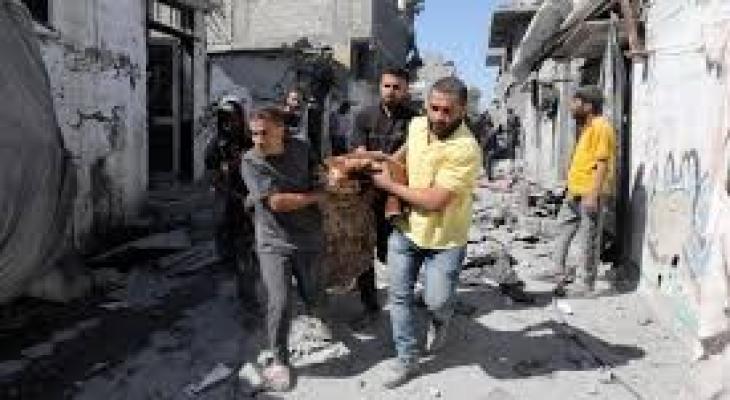 تنزيل (15).jfif