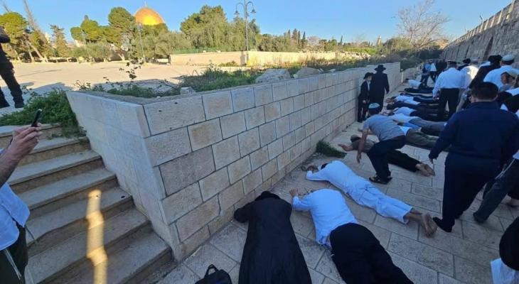 سجود ملحمي.jpg