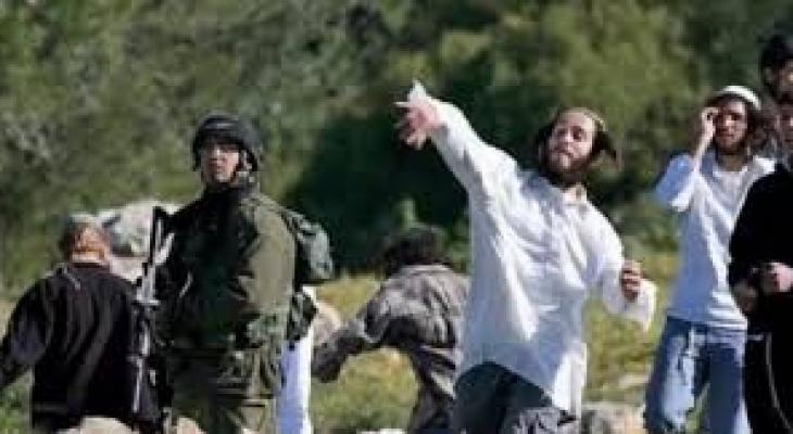 تنزيل (14).jfif