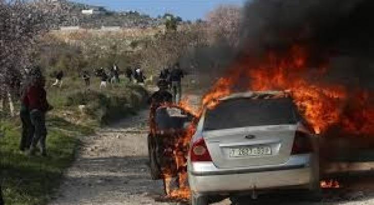 تنزيل (21).jfif