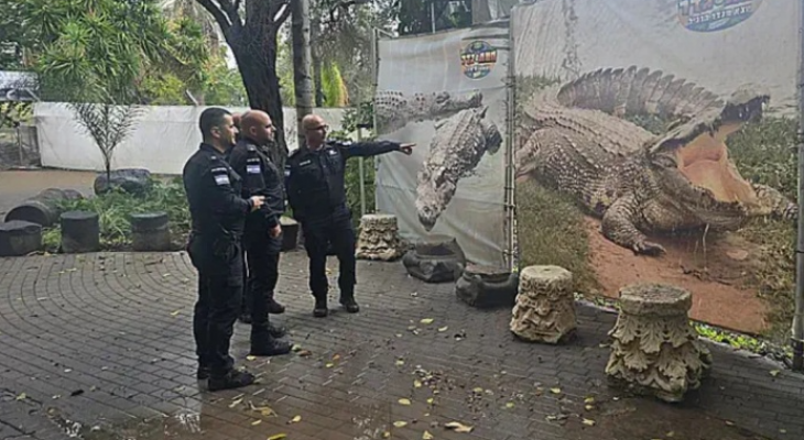 لقطة الشاشة 2026-01-01 195432.png