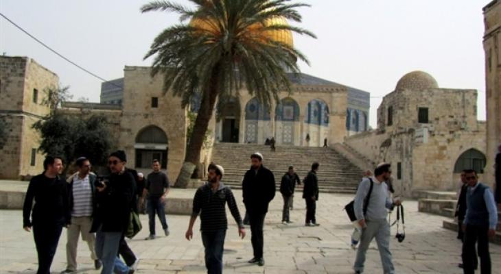 مستوطنون يجددون اقتحامهم للأقصى من باب المغاربة