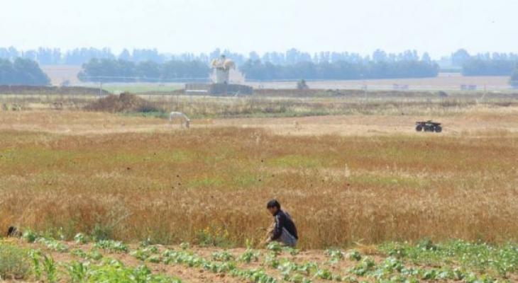 6d09b5fcd2b0a3d03cd9a906255ed38f