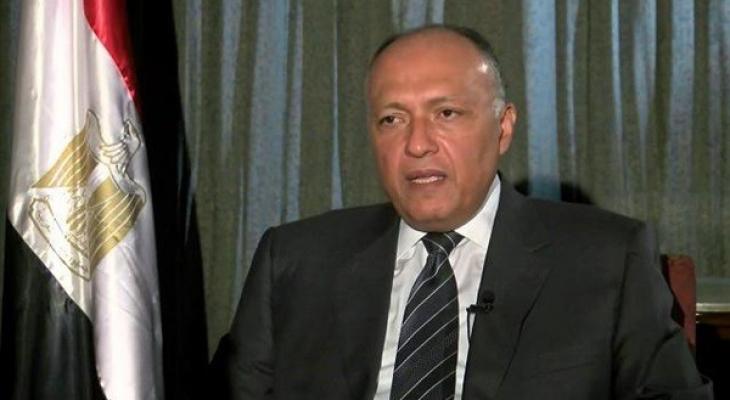 شكري يبحث مع نظيره الياباني تطورات القضية الفلسطينية.jpg